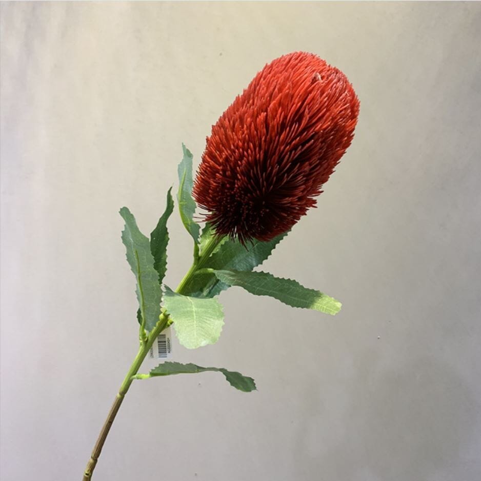 Branksia Artificial Deco por ti Burdeo 