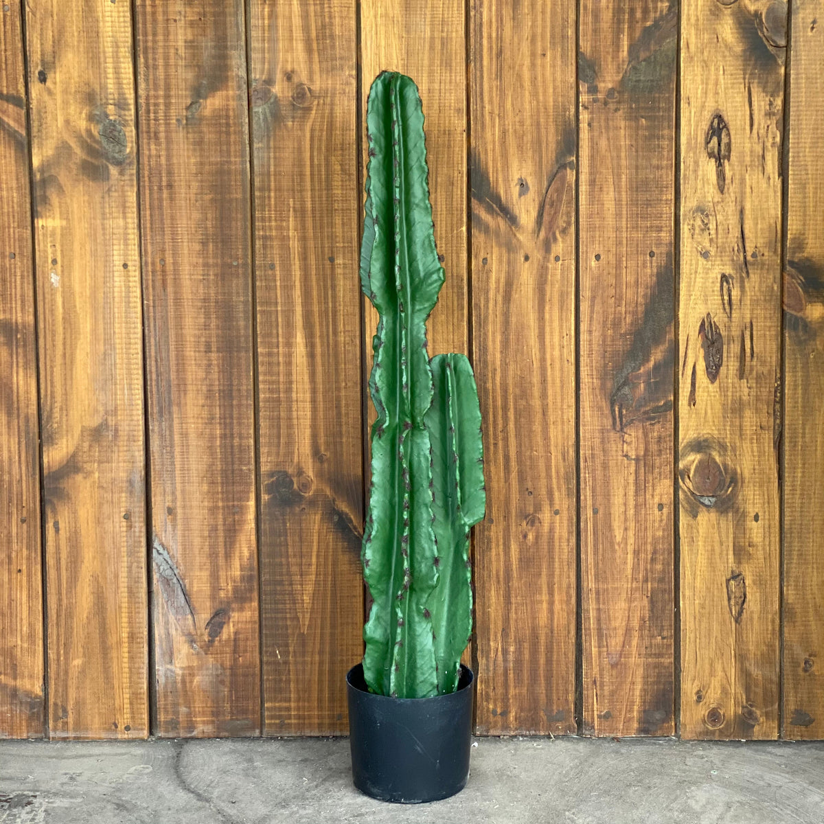 Cactus San Pedro Artificial Planta Artificial Deco por ti 