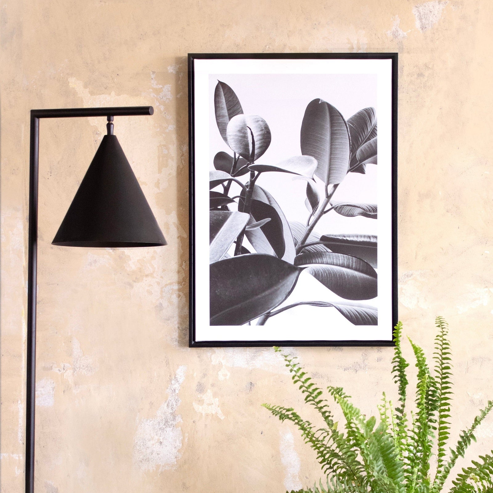 Cuadro Gomero Blanco y Negro con Borde Deco por ti 