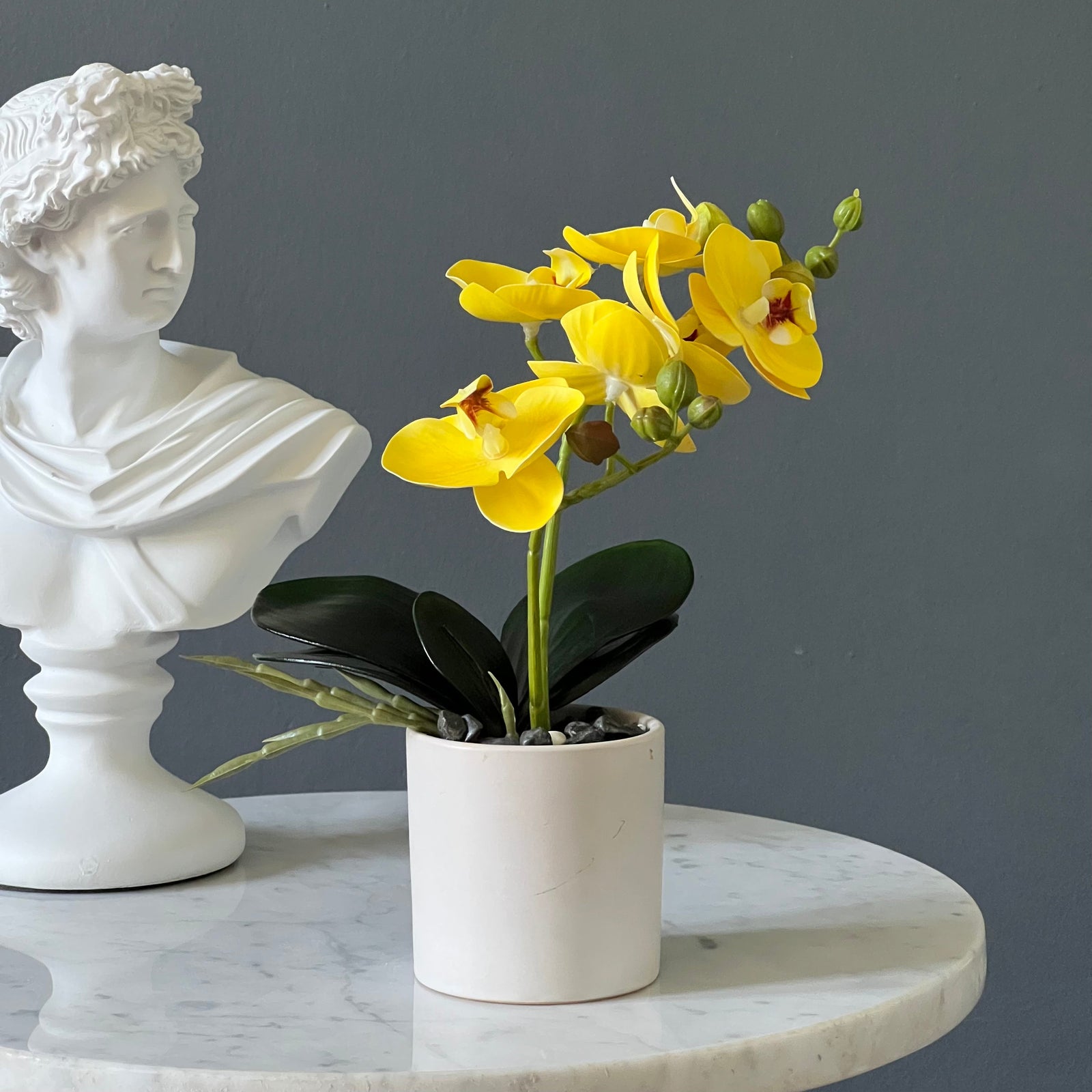 Mini Orquídea Amarilla en Macetero Deco por ti 