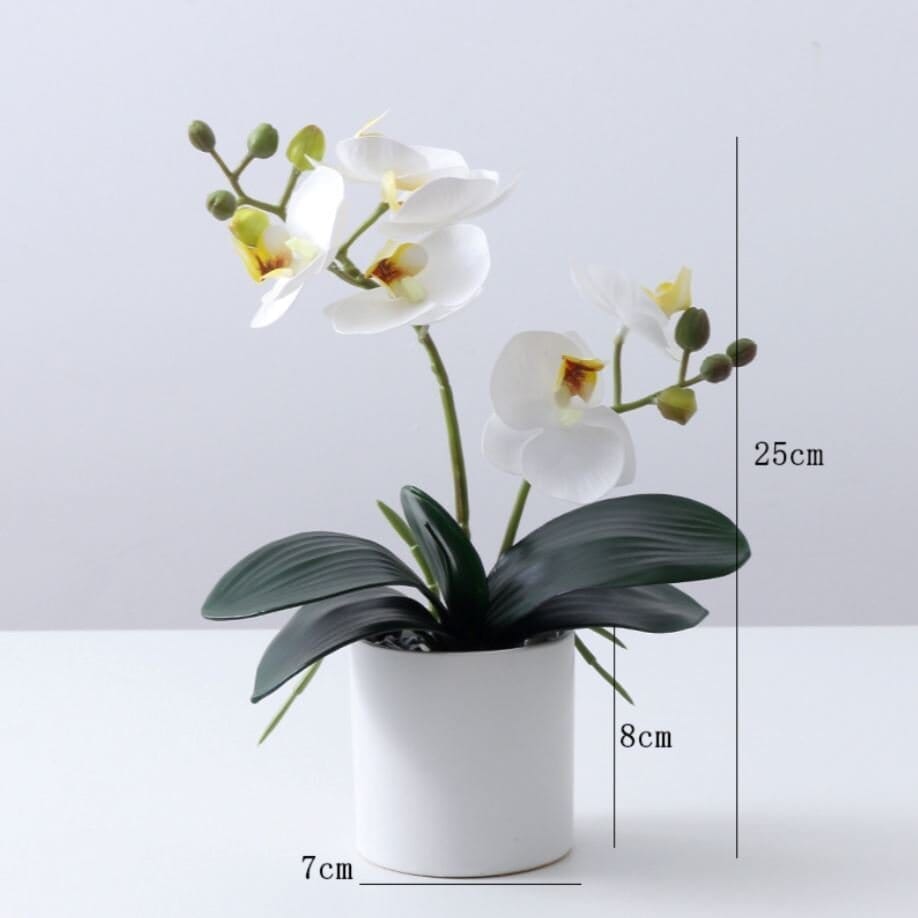 Mini Orquídea Blanca en Macetero Deco por ti 