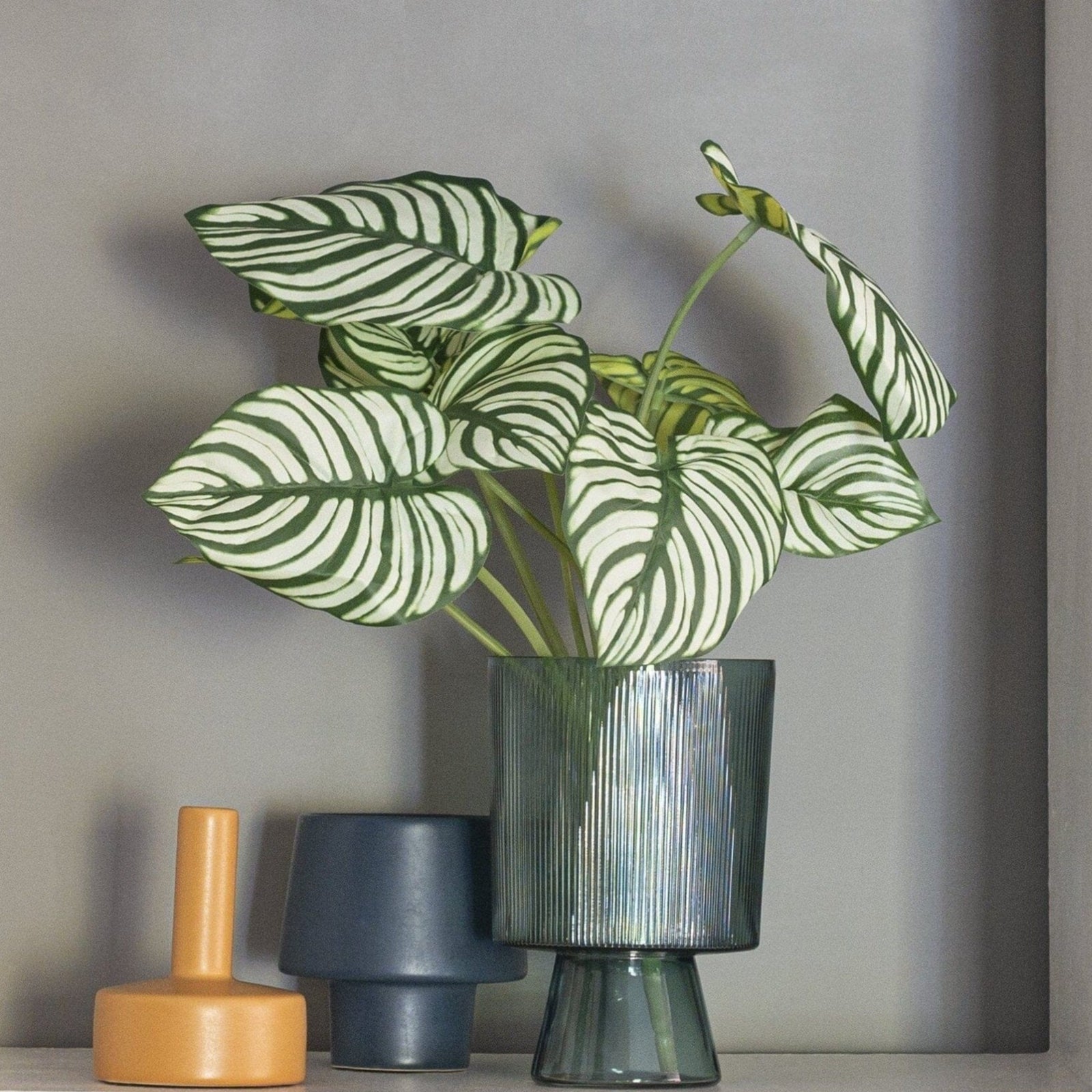 Rama Calathea con Blanco Artificial Deco por ti 