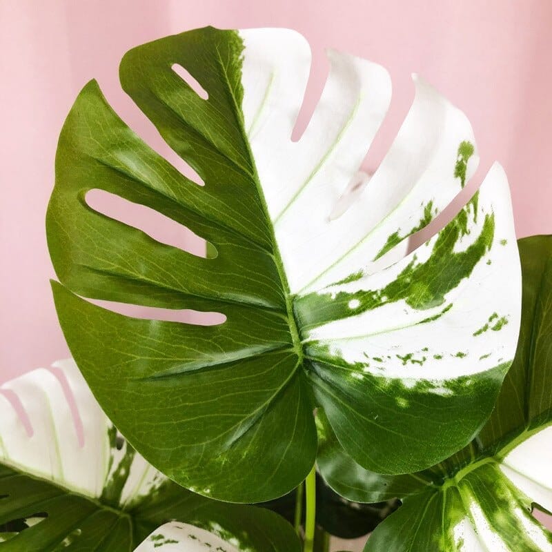 Rama Monstera Variegada Artificial Deco por ti 