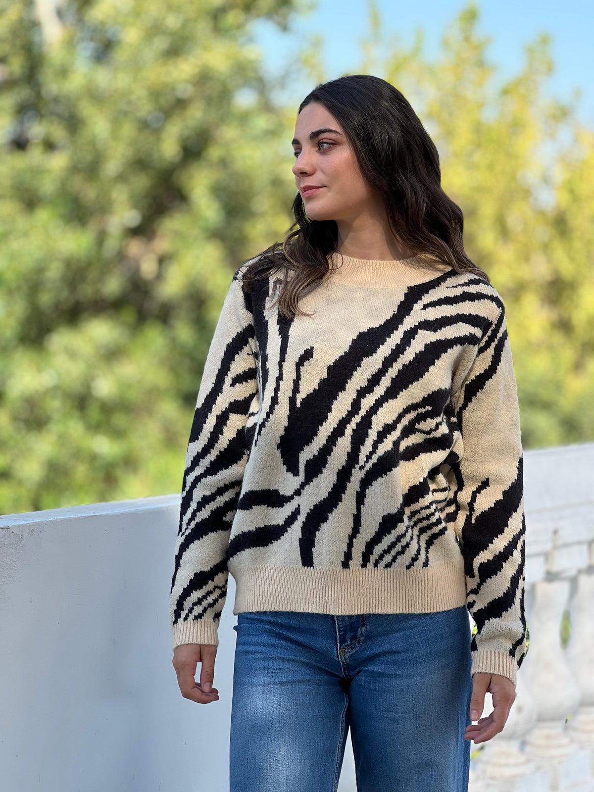 Sweater Cebra Crudo Deco por ti 