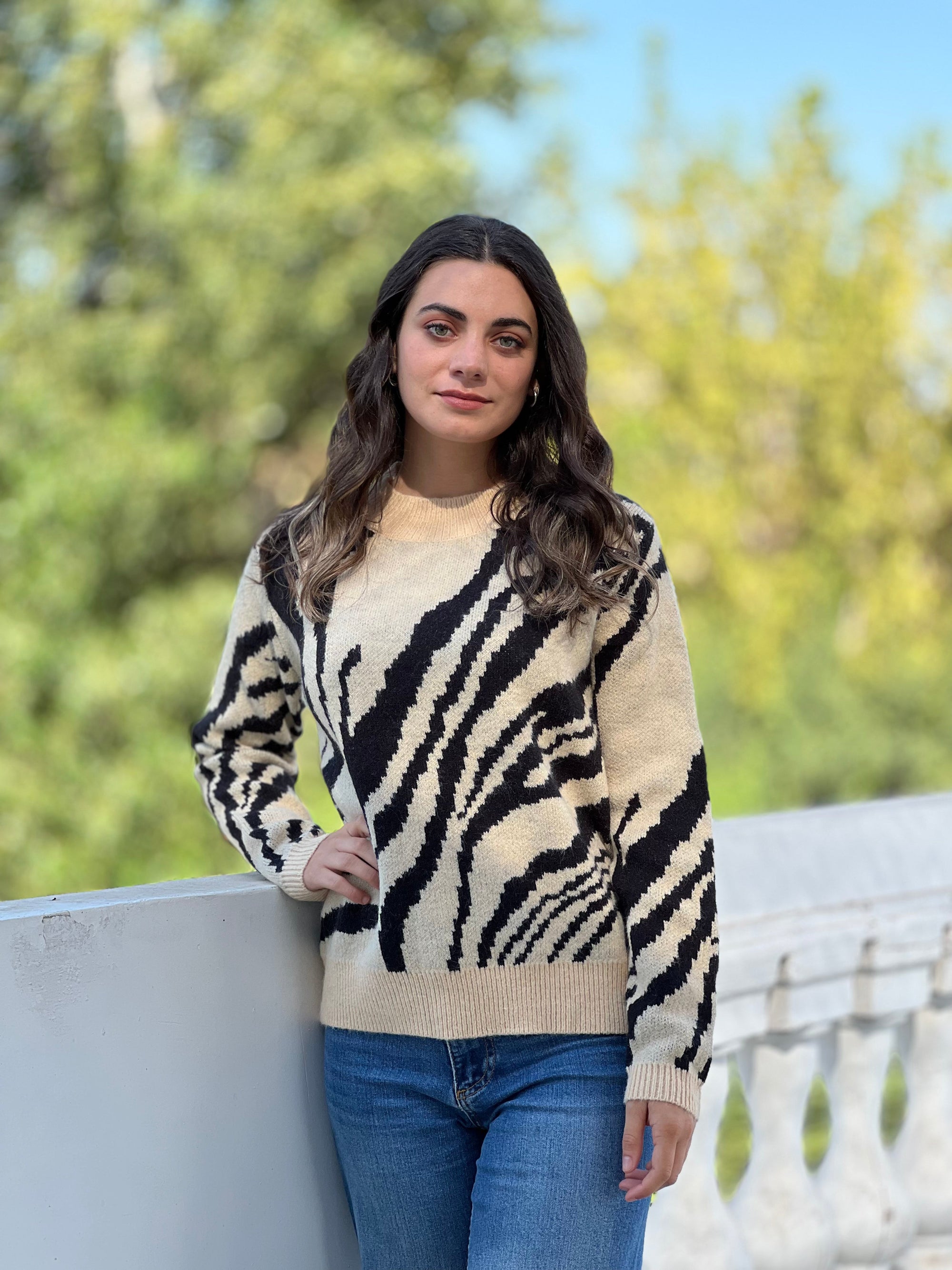 Sweater Cebra Crudo Deco por ti 